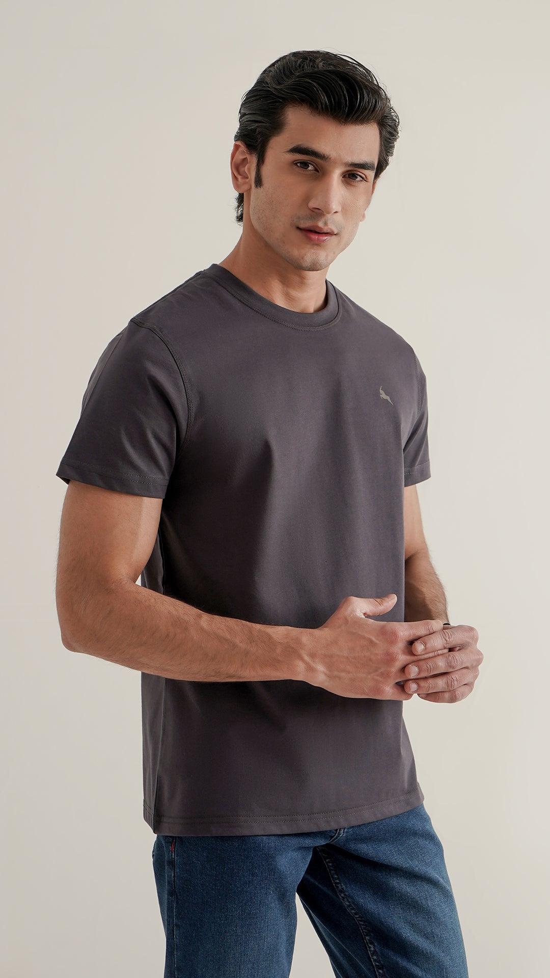 Markhor Gray Plain Jersey Crew