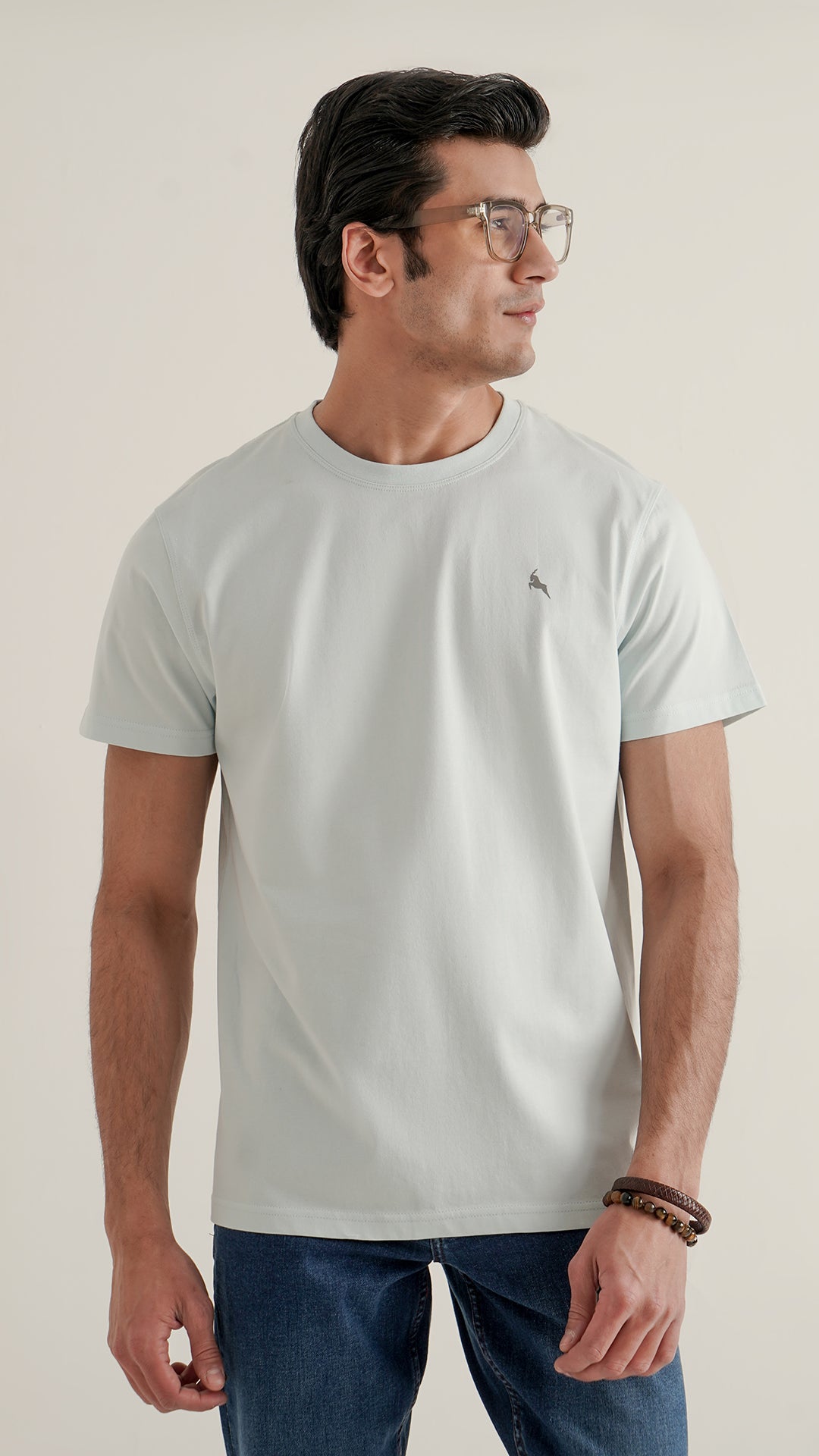 Markhor Sea Green Plain Jersey Crew