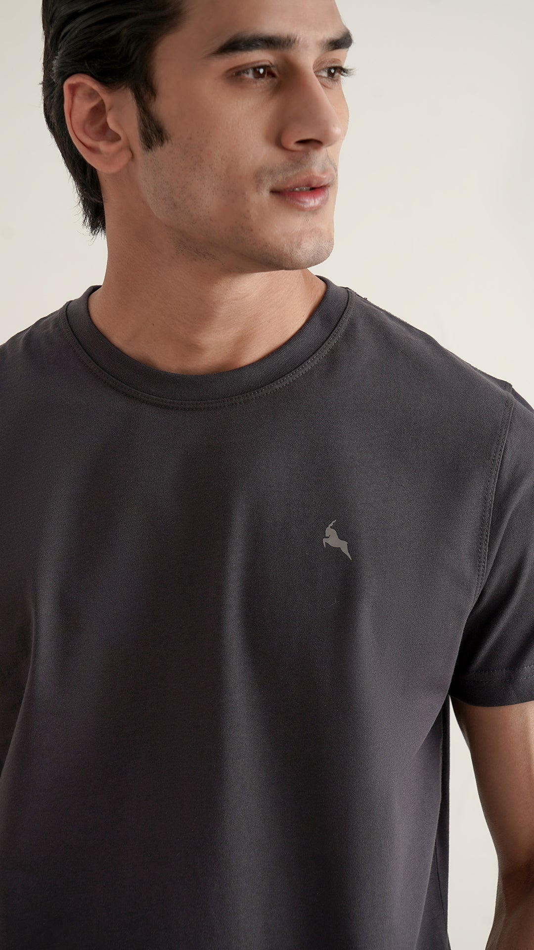 Markhor Gray Plain Jersey Crew